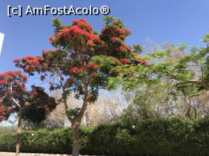 [P38] O vacanţă de relaxare - prin resort » foto by nicole33
 - 
<span class="allrVoted glyphicon glyphicon-heart hidden" id="av1091192"></span>
<a class="m-l-10 hidden" id="sv1091192" onclick="voting_Foto_DelVot(,1091192,48)" role="button">șterge vot <span class="glyphicon glyphicon-remove"></span></a>
<a id="v91091192" class=" c-red"  onclick="voting_Foto_SetVot(1091192)" role="button"><span class="glyphicon glyphicon-heart-empty"></span> <b>LIKE</b> = Votează poza</a> <img class="hidden"  id="f1091192W9" src="/imagini/loader.gif" border="0" /><span class="AjErrMes hidden" id="e1091192ErM"></span>