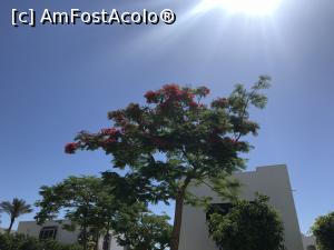 [P40] O vacanţă de relaxare - prin resort » foto by nicole33
 - 
<span class="allrVoted glyphicon glyphicon-heart hidden" id="av1091194"></span>
<a class="m-l-10 hidden" id="sv1091194" onclick="voting_Foto_DelVot(,1091194,48)" role="button">șterge vot <span class="glyphicon glyphicon-remove"></span></a>
<a id="v91091194" class=" c-red"  onclick="voting_Foto_SetVot(1091194)" role="button"><span class="glyphicon glyphicon-heart-empty"></span> <b>LIKE</b> = Votează poza</a> <img class="hidden"  id="f1091194W9" src="/imagini/loader.gif" border="0" /><span class="AjErrMes hidden" id="e1091194ErM"></span>