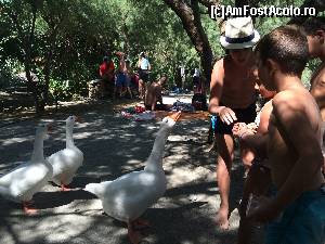 [P30] Mascotele de la Preveli » foto by Cleopatraa
 - 
<span class="allrVoted glyphicon glyphicon-heart hidden" id="av664964"></span>
<a class="m-l-10 hidden" id="sv664964" onclick="voting_Foto_DelVot(,664964,481)" role="button">șterge vot <span class="glyphicon glyphicon-remove"></span></a>
<a id="v9664964" class=" c-red"  onclick="voting_Foto_SetVot(664964)" role="button"><span class="glyphicon glyphicon-heart-empty"></span> <b>LIKE</b> = Votează poza</a> <img class="hidden"  id="f664964W9" src="/imagini/loader.gif" border="0" /><span class="AjErrMes hidden" id="e664964ErM"></span>