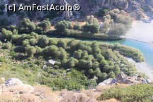 [P43] Creta, Plaja Preveli, Pădurea de palmieri și râul ce se varsă în mare, poză mărită la maxim » foto by mprofeanu
 - 
<span class="allrVoted glyphicon glyphicon-heart hidden" id="av1261735"></span>
<a class="m-l-10 hidden" id="sv1261735" onclick="voting_Foto_DelVot(,1261735,481)" role="button">șterge vot <span class="glyphicon glyphicon-remove"></span></a>
<a id="v91261735" class=" c-red"  onclick="voting_Foto_SetVot(1261735)" role="button"><span class="glyphicon glyphicon-heart-empty"></span> <b>LIKE</b> = Votează poza</a> <img class="hidden"  id="f1261735W9" src="/imagini/loader.gif" border="0" /><span class="AjErrMes hidden" id="e1261735ErM"></span>