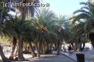 [P59] Creta, Plaja Vai și Pădurea de Palmieri, câțiva din cei 6.000 de palmieri, mi-a plăcut mult și aici » foto by mprofeanu
 - 
<span class="allrVoted glyphicon glyphicon-heart hidden" id="av1261751"></span>
<a class="m-l-10 hidden" id="sv1261751" onclick="voting_Foto_DelVot(,1261751,481)" role="button">șterge vot <span class="glyphicon glyphicon-remove"></span></a>
<a id="v91261751" class=" c-red"  onclick="voting_Foto_SetVot(1261751)" role="button"><span class="glyphicon glyphicon-heart-empty"></span> <b>LIKE</b> = Votează poza</a> <img class="hidden"  id="f1261751W9" src="/imagini/loader.gif" border="0" /><span class="AjErrMes hidden" id="e1261751ErM"></span>