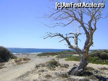 [P60] Chrissi » foto by SKC
 - 
<span class="allrVoted glyphicon glyphicon-heart hidden" id="av470290"></span>
<a class="m-l-10 hidden" id="sv470290" onclick="voting_Foto_DelVot(,470290,481)" role="button">șterge vot <span class="glyphicon glyphicon-remove"></span></a>
<a id="v9470290" class=" c-red"  onclick="voting_Foto_SetVot(470290)" role="button"><span class="glyphicon glyphicon-heart-empty"></span> <b>LIKE</b> = Votează poza</a> <img class="hidden"  id="f470290W9" src="/imagini/loader.gif" border="0" /><span class="AjErrMes hidden" id="e470290ErM"></span>