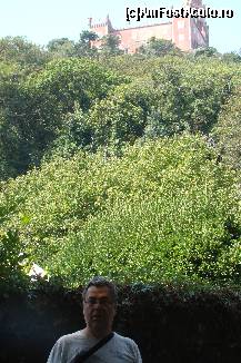 [P50] Palacio da Pena -vedere din parcul de jos, 'Estrada Pena'-Sintra » foto by florintoma
 - 
<span class="allrVoted glyphicon glyphicon-heart hidden" id="av471319"></span>
<a class="m-l-10 hidden" id="sv471319" onclick="voting_Foto_DelVot(,471319,516)" role="button">șterge vot <span class="glyphicon glyphicon-remove"></span></a>
<a id="v9471319" class=" c-red"  onclick="voting_Foto_SetVot(471319)" role="button"><span class="glyphicon glyphicon-heart-empty"></span> <b>LIKE</b> = Votează poza</a> <img class="hidden"  id="f471319W9" src="/imagini/loader.gif" border="0" /><span class="AjErrMes hidden" id="e471319ErM"></span>