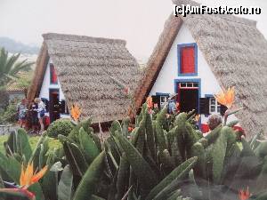 [P19] Madeira - In drumul spre Machico, oraselul in care au debarcat pentru prima data primii navigatori potughezi, veti fi intampinati de case acoperite cu stuf si plantatii de vita de vie.  » foto by Marian Preda
 - 
<span class="allrVoted glyphicon glyphicon-heart hidden" id="av549911"></span>
<a class="m-l-10 hidden" id="sv549911" onclick="voting_Foto_DelVot(,549911,516)" role="button">șterge vot <span class="glyphicon glyphicon-remove"></span></a>
<a id="v9549911" class=" c-red"  onclick="voting_Foto_SetVot(549911)" role="button"><span class="glyphicon glyphicon-heart-empty"></span> <b>LIKE</b> = Votează poza</a> <img class="hidden"  id="f549911W9" src="/imagini/loader.gif" border="0" /><span class="AjErrMes hidden" id="e549911ErM"></span>