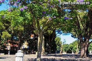 [P53] In gradinile Castelului Sao Jorge din Lisabona » foto by DOINITA
 - 
<span class="allrVoted glyphicon glyphicon-heart hidden" id="av598337"></span>
<a class="m-l-10 hidden" id="sv598337" onclick="voting_Foto_DelVot(,598337,516)" role="button">șterge vot <span class="glyphicon glyphicon-remove"></span></a>
<a id="v9598337" class=" c-red"  onclick="voting_Foto_SetVot(598337)" role="button"><span class="glyphicon glyphicon-heart-empty"></span> <b>LIKE</b> = Votează poza</a> <img class="hidden"  id="f598337W9" src="/imagini/loader.gif" border="0" /><span class="AjErrMes hidden" id="e598337ErM"></span>