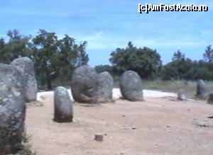 [P04] Mănunchiuri de menhire în complexul megalitic de la Almendres.  » foto by Carmen Ion
 - 
<span class="allrVoted glyphicon glyphicon-heart hidden" id="av611525"></span>
<a class="m-l-10 hidden" id="sv611525" onclick="voting_Foto_DelVot(,611525,516)" role="button">șterge vot <span class="glyphicon glyphicon-remove"></span></a>
<a id="v9611525" class=" c-red"  onclick="voting_Foto_SetVot(611525)" role="button"><span class="glyphicon glyphicon-heart-empty"></span> <b>LIKE</b> = Votează poza</a> <img class="hidden"  id="f611525W9" src="/imagini/loader.gif" border="0" /><span class="AjErrMes hidden" id="e611525ErM"></span>