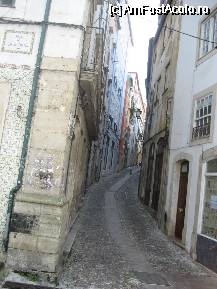 [P05] Coimbra- spre Universitate (cand te gandesti ca mii de studenti fac zilnic drumul asta ...) » foto by danutza
 - 
<span class="allrVoted glyphicon glyphicon-heart hidden" id="av68540"></span>
<a class="m-l-10 hidden" id="sv68540" onclick="voting_Foto_DelVot(,68540,516)" role="button">șterge vot <span class="glyphicon glyphicon-remove"></span></a>
<a id="v968540" class=" c-red"  onclick="voting_Foto_SetVot(68540)" role="button"><span class="glyphicon glyphicon-heart-empty"></span> <b>LIKE</b> = Votează poza</a> <img class="hidden"  id="f68540W9" src="/imagini/loader.gif" border="0" /><span class="AjErrMes hidden" id="e68540ErM"></span>
