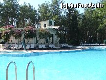 [P05] piscina » foto by hhh
 - 
<span class="allrVoted glyphicon glyphicon-heart hidden" id="av384"></span>
<a class="m-l-10 hidden" id="sv384" onclick="voting_Foto_DelVot(,384,53)" role="button">șterge vot <span class="glyphicon glyphicon-remove"></span></a>
<a id="v9384" class=" c-red"  onclick="voting_Foto_SetVot(384)" role="button"><span class="glyphicon glyphicon-heart-empty"></span> <b>LIKE</b> = Votează poza</a> <img class="hidden"  id="f384W9" src="/imagini/loader.gif" border="0" /><span class="AjErrMes hidden" id="e384ErM"></span>