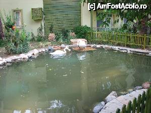 [P07] intre bungalow-uri » foto by faguricu
 - 
<span class="allrVoted glyphicon glyphicon-heart hidden" id="av492347"></span>
<a class="m-l-10 hidden" id="sv492347" onclick="voting_Foto_DelVot(,492347,53)" role="button">șterge vot <span class="glyphicon glyphicon-remove"></span></a>
<a id="v9492347" class=" c-red"  onclick="voting_Foto_SetVot(492347)" role="button"><span class="glyphicon glyphicon-heart-empty"></span> <b>LIKE</b> = Votează poza</a> <img class="hidden"  id="f492347W9" src="/imagini/loader.gif" border="0" /><span class="AjErrMes hidden" id="e492347ErM"></span>