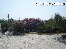 [P10] Elea Village...-teava de dus si leandrul de care am vorbit » foto by adryana
 - 
<span class="allrVoted glyphicon glyphicon-heart hidden" id="av101188"></span>
<a class="m-l-10 hidden" id="sv101188" onclick="voting_Foto_DelVot(,101188,536)" role="button">șterge vot <span class="glyphicon glyphicon-remove"></span></a>
<a id="v9101188" class=" c-red"  onclick="voting_Foto_SetVot(101188)" role="button"><span class="glyphicon glyphicon-heart-empty"></span> <b>LIKE</b> = Votează poza</a> <img class="hidden"  id="f101188W9" src="/imagini/loader.gif" border="0" /><span class="AjErrMes hidden" id="e101188ErM"></span>