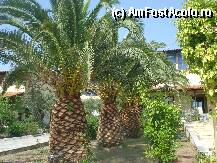 [P13] Elea Village, se vad bordeiele in spate » foto by adryana
 - 
<span class="allrVoted glyphicon glyphicon-heart hidden" id="av101191"></span>
<a class="m-l-10 hidden" id="sv101191" onclick="voting_Foto_DelVot(,101191,536)" role="button">șterge vot <span class="glyphicon glyphicon-remove"></span></a>
<a id="v9101191" class=" c-red"  onclick="voting_Foto_SetVot(101191)" role="button"><span class="glyphicon glyphicon-heart-empty"></span> <b>LIKE</b> = Votează poza</a> <img class="hidden"  id="f101191W9" src="/imagini/loader.gif" border="0" /><span class="AjErrMes hidden" id="e101191ErM"></span>