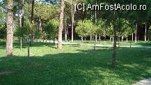 [P06]  -- <small>// FĂRĂ DESCRIERE</small> » foto by soleillevant32
 - 
<span class="allrVoted glyphicon glyphicon-heart hidden" id="av105830"></span>
<a class="m-l-10 hidden" id="sv105830" onclick="voting_Foto_DelVot(,105830,55)" role="button">șterge vot <span class="glyphicon glyphicon-remove"></span></a>
<a id="v9105830" class=" c-red"  onclick="voting_Foto_SetVot(105830)" role="button"><span class="glyphicon glyphicon-heart-empty"></span> <b>LIKE</b> = Votează poza</a> <img class="hidden"  id="f105830W9" src="/imagini/loader.gif" border="0" /><span class="AjErrMes hidden" id="e105830ErM"></span>