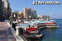 [P11]  -- <small>// FĂRĂ DESCRIERE</small> » foto by baciuflorin*
 - 
<span class="allrVoted glyphicon glyphicon-heart hidden" id="av200284"></span>
<a class="m-l-10 hidden" id="sv200284" onclick="voting_Foto_DelVot(,200284,557)" role="button">șterge vot <span class="glyphicon glyphicon-remove"></span></a>
<a id="v9200284" class=" c-red"  onclick="voting_Foto_SetVot(200284)" role="button"><span class="glyphicon glyphicon-heart-empty"></span> <b>LIKE</b> = Votează poza</a> <img class="hidden"  id="f200284W9" src="/imagini/loader.gif" border="0" /><span class="AjErrMes hidden" id="e200284ErM"></span>