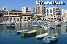 [P07]  -- <small>// FĂRĂ DESCRIERE</small> » foto by baciuflorin*
 - 
<span class="allrVoted glyphicon glyphicon-heart hidden" id="av200279"></span>
<a class="m-l-10 hidden" id="sv200279" onclick="voting_Foto_DelVot(,200279,557)" role="button">șterge vot <span class="glyphicon glyphicon-remove"></span></a>
<a id="v9200279" class=" c-red"  onclick="voting_Foto_SetVot(200279)" role="button"><span class="glyphicon glyphicon-heart-empty"></span> <b>LIKE</b> = Votează poza</a> <img class="hidden"  id="f200279W9" src="/imagini/loader.gif" border="0" /><span class="AjErrMes hidden" id="e200279ErM"></span>