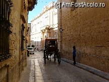 [P10] O straduta din Mdina » foto by iuliaen
 - 
<span class="allrVoted glyphicon glyphicon-heart hidden" id="av241744"></span>
<a class="m-l-10 hidden" id="sv241744" onclick="voting_Foto_DelVot(,241744,557)" role="button">șterge vot <span class="glyphicon glyphicon-remove"></span></a>
<a id="v9241744" class=" c-red"  onclick="voting_Foto_SetVot(241744)" role="button"><span class="glyphicon glyphicon-heart-empty"></span> <b>LIKE</b> = Votează poza</a> <img class="hidden"  id="f241744W9" src="/imagini/loader.gif" border="0" /><span class="AjErrMes hidden" id="e241744ErM"></span>