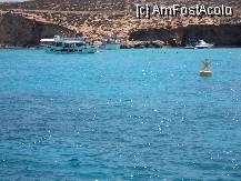 [P01] laguna albastra ..albastra de tot » foto by TORA INGRID
 - 
<span class="allrVoted glyphicon glyphicon-heart hidden" id="av238998"></span>
<a class="m-l-10 hidden" id="sv238998" onclick="voting_Foto_DelVot(,238998,557)" role="button">șterge vot <span class="glyphicon glyphicon-remove"></span></a>
<a id="v9238998" class=" c-red"  onclick="voting_Foto_SetVot(238998)" role="button"><span class="glyphicon glyphicon-heart-empty"></span> <b>LIKE</b> = Votează poza</a> <img class="hidden"  id="f238998W9" src="/imagini/loader.gif" border="0" /><span class="AjErrMes hidden" id="e238998ErM"></span>