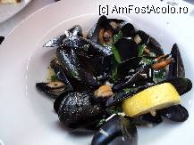 [P03] alt aperitiv » foto by TORA INGRID
 - 
<span class="allrVoted glyphicon glyphicon-heart hidden" id="av239137"></span>
<a class="m-l-10 hidden" id="sv239137" onclick="voting_Foto_DelVot(,239137,557)" role="button">șterge vot <span class="glyphicon glyphicon-remove"></span></a>
<a id="v9239137" class=" c-red"  onclick="voting_Foto_SetVot(239137)" role="button"><span class="glyphicon glyphicon-heart-empty"></span> <b>LIKE</b> = Votează poza</a> <img class="hidden"  id="f239137W9" src="/imagini/loader.gif" border="0" /><span class="AjErrMes hidden" id="e239137ErM"></span>