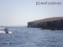 [P03] nu-i asa ca vedeti un elefant cu trompa in apa ? » foto by TORA INGRID
 - 
<span class="allrVoted glyphicon glyphicon-heart hidden" id="av239001"></span>
<a class="m-l-10 hidden" id="sv239001" onclick="voting_Foto_DelVot(,239001,557)" role="button">șterge vot <span class="glyphicon glyphicon-remove"></span></a>
<a id="v9239001" class=" c-red"  onclick="voting_Foto_SetVot(239001)" role="button"><span class="glyphicon glyphicon-heart-empty"></span> <b>LIKE</b> = Votează poza</a> <img class="hidden"  id="f239001W9" src="/imagini/loader.gif" border="0" /><span class="AjErrMes hidden" id="e239001ErM"></span>