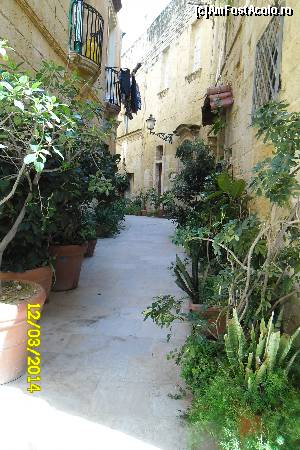 [P04] strada Vittoriosa » foto by delia58
 - 
<span class="allrVoted glyphicon glyphicon-heart hidden" id="av517510"></span>
<a class="m-l-10 hidden" id="sv517510" onclick="voting_Foto_DelVot(,517510,557)" role="button">șterge vot <span class="glyphicon glyphicon-remove"></span></a>
<a id="v9517510" class=" c-red"  onclick="voting_Foto_SetVot(517510)" role="button"><span class="glyphicon glyphicon-heart-empty"></span> <b>LIKE</b> = Votează poza</a> <img class="hidden"  id="f517510W9" src="/imagini/loader.gif" border="0" /><span class="AjErrMes hidden" id="e517510ErM"></span>