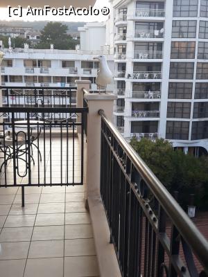 [P12] un musafir in balcon » foto by sandi67
 - 
<span class="allrVoted glyphicon glyphicon-heart hidden" id="av1106170"></span>
<a class="m-l-10 hidden" id="sv1106170" onclick="voting_Foto_DelVot(,1106170,560)" role="button">șterge vot <span class="glyphicon glyphicon-remove"></span></a>
<a id="v91106170" class=" c-red"  onclick="voting_Foto_SetVot(1106170)" role="button"><span class="glyphicon glyphicon-heart-empty"></span> <b>LIKE</b> = Votează poza</a> <img class="hidden"  id="f1106170W9" src="/imagini/loader.gif" border="0" /><span class="AjErrMes hidden" id="e1106170ErM"></span>
