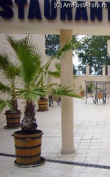 [P01] In spatele Hotelului Admiral, la restaurant » foto by magdalena
 - 
<span class="allrVoted glyphicon glyphicon-heart hidden" id="av94986"></span>
<a class="m-l-10 hidden" id="sv94986" onclick="voting_Foto_DelVot(,94986,560)" role="button">șterge vot <span class="glyphicon glyphicon-remove"></span></a>
<a id="v994986" class=" c-red"  onclick="voting_Foto_SetVot(94986)" role="button"><span class="glyphicon glyphicon-heart-empty"></span> <b>LIKE</b> = Votează poza</a> <img class="hidden"  id="f94986W9" src="/imagini/loader.gif" border="0" /><span class="AjErrMes hidden" id="e94986ErM"></span>