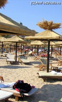 [P03] Plaja din fata hotelului Admiral » foto by magdalena
 - 
<span class="allrVoted glyphicon glyphicon-heart hidden" id="av94988"></span>
<a class="m-l-10 hidden" id="sv94988" onclick="voting_Foto_DelVot(,94988,560)" role="button">șterge vot <span class="glyphicon glyphicon-remove"></span></a>
<a id="v994988" class=" c-red"  onclick="voting_Foto_SetVot(94988)" role="button"><span class="glyphicon glyphicon-heart-empty"></span> <b>LIKE</b> = Votează poza</a> <img class="hidden"  id="f94988W9" src="/imagini/loader.gif" border="0" /><span class="AjErrMes hidden" id="e94988ErM"></span>