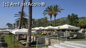 [P31] de prin resort » foto by elenaadina
 - 
<span class="allrVoted glyphicon glyphicon-heart hidden" id="av1263391"></span>
<a class="m-l-10 hidden" id="sv1263391" onclick="voting_Foto_DelVot(,1263391,58)" role="button">șterge vot <span class="glyphicon glyphicon-remove"></span></a>
<a id="v91263391" class=" c-red"  onclick="voting_Foto_SetVot(1263391)" role="button"><span class="glyphicon glyphicon-heart-empty"></span> <b>LIKE</b> = Votează poza</a> <img class="hidden"  id="f1263391W9" src="/imagini/loader.gif" border="0" /><span class="AjErrMes hidden" id="e1263391ErM"></span>