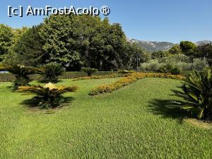 [P17]  -- <small>// FĂRĂ DESCRIERE</small> » foto by ciobi2309
 - 
<span class="allrVoted glyphicon glyphicon-heart hidden" id="av1499309"></span>
<a class="m-l-10 hidden" id="sv1499309" onclick="voting_Foto_DelVot(,1499309,595)" role="button">șterge vot <span class="glyphicon glyphicon-remove"></span></a>
<a id="v91499309" class=" c-red"  onclick="voting_Foto_SetVot(1499309)" role="button"><span class="glyphicon glyphicon-heart-empty"></span> <b>LIKE</b> = Votează poza</a> <img class="hidden"  id="f1499309W9" src="/imagini/loader.gif" border="0" /><span class="AjErrMes hidden" id="e1499309ErM"></span>