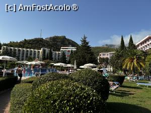 [P20]  -- <small>// FĂRĂ DESCRIERE</small> » foto by ciobi2309
 - 
<span class="allrVoted glyphicon glyphicon-heart hidden" id="av1499312"></span>
<a class="m-l-10 hidden" id="sv1499312" onclick="voting_Foto_DelVot(,1499312,595)" role="button">șterge vot <span class="glyphicon glyphicon-remove"></span></a>
<a id="v91499312" class=" c-red"  onclick="voting_Foto_SetVot(1499312)" role="button"><span class="glyphicon glyphicon-heart-empty"></span> <b>LIKE</b> = Votează poza</a> <img class="hidden"  id="f1499312W9" src="/imagini/loader.gif" border="0" /><span class="AjErrMes hidden" id="e1499312ErM"></span>