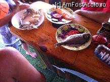 [P10] Papa bun in croaziera - crabii albastri » foto by eduardradupaul*
 - 
<span class="allrVoted glyphicon glyphicon-heart hidden" id="av238918"></span>
<a class="m-l-10 hidden" id="sv238918" onclick="voting_Foto_DelVot(,238918,6)" role="button">șterge vot <span class="glyphicon glyphicon-remove"></span></a>
<a id="v9238918" class=" c-red"  onclick="voting_Foto_SetVot(238918)" role="button"><span class="glyphicon glyphicon-heart-empty"></span> <b>LIKE</b> = Votează poza</a> <img class="hidden"  id="f238918W9" src="/imagini/loader.gif" border="0" /><span class="AjErrMes hidden" id="e238918ErM"></span>