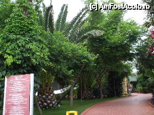 [P11] Vegetația din resort » foto by crima
 - 
<span class="allrVoted glyphicon glyphicon-heart hidden" id="av403202"></span>
<a class="m-l-10 hidden" id="sv403202" onclick="voting_Foto_DelVot(,403202,6)" role="button">șterge vot <span class="glyphicon glyphicon-remove"></span></a>
<a id="v9403202" class=" c-red"  onclick="voting_Foto_SetVot(403202)" role="button"><span class="glyphicon glyphicon-heart-empty"></span> <b>LIKE</b> = Votează poza</a> <img class="hidden"  id="f403202W9" src="/imagini/loader.gif" border="0" /><span class="AjErrMes hidden" id="e403202ErM"></span>