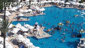[P04] Petrecere cu ursi la piscina » foto by bigman_1971
 - 
<span class="allrVoted glyphicon glyphicon-heart hidden" id="av1092827"></span>
<a class="m-l-10 hidden" id="sv1092827" onclick="voting_Foto_DelVot(,1092827,6)" role="button">șterge vot <span class="glyphicon glyphicon-remove"></span></a>
<a id="v91092827" class=" c-red"  onclick="voting_Foto_SetVot(1092827)" role="button"><span class="glyphicon glyphicon-heart-empty"></span> <b>LIKE</b> = Votează poza</a> <img class="hidden"  id="f1092827W9" src="/imagini/loader.gif" border="0" /><span class="AjErrMes hidden" id="e1092827ErM"></span>