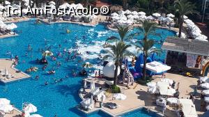 [P05] Petrecere cu girafa si spuma in piscina » foto by bigman_1971
 - 
<span class="allrVoted glyphicon glyphicon-heart hidden" id="av1092828"></span>
<a class="m-l-10 hidden" id="sv1092828" onclick="voting_Foto_DelVot(,1092828,6)" role="button">șterge vot <span class="glyphicon glyphicon-remove"></span></a>
<a id="v91092828" class=" c-red"  onclick="voting_Foto_SetVot(1092828)" role="button"><span class="glyphicon glyphicon-heart-empty"></span> <b>LIKE</b> = Votează poza</a> <img class="hidden"  id="f1092828W9" src="/imagini/loader.gif" border="0" /><span class="AjErrMes hidden" id="e1092828ErM"></span>