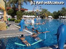[P06] Instantaneu de la o sedinta de Aqua gym, in departare Luna Park » foto by world_traveler
 - 
<span class="allrVoted glyphicon glyphicon-heart hidden" id="av213061"></span>
<a class="m-l-10 hidden" id="sv213061" onclick="voting_Foto_DelVot(,213061,6)" role="button">șterge vot <span class="glyphicon glyphicon-remove"></span></a>
<a id="v9213061" class=" c-red"  onclick="voting_Foto_SetVot(213061)" role="button"><span class="glyphicon glyphicon-heart-empty"></span> <b>LIKE</b> = Votează poza</a> <img class="hidden"  id="f213061W9" src="/imagini/loader.gif" border="0" /><span class="AjErrMes hidden" id="e213061ErM"></span>