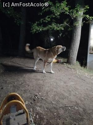 [P17] Agent paza parcare &icirc;n Nisipuri :) » foto by dan popa
 - 
<span class="allrVoted glyphicon glyphicon-heart hidden" id="av1185833"></span>
<a class="m-l-10 hidden" id="sv1185833" onclick="voting_Foto_DelVot(,1185833,621)" role="button">șterge vot <span class="glyphicon glyphicon-remove"></span></a>
<a id="v91185833" class=" c-red"  onclick="voting_Foto_SetVot(1185833)" role="button"><span class="glyphicon glyphicon-heart-empty"></span> <b>LIKE</b> = Votează poza</a> <img class="hidden"  id="f1185833W9" src="/imagini/loader.gif" border="0" /><span class="AjErrMes hidden" id="e1185833ErM"></span>