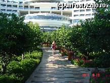 [P13] aleea spre hotel_ a portocalilor,lamiilor... » foto by jimmybitza*
 - 
<span class="allrVoted glyphicon glyphicon-heart hidden" id="av301276"></span>
<a class="m-l-10 hidden" id="sv301276" onclick="voting_Foto_DelVot(,301276,622)" role="button">șterge vot <span class="glyphicon glyphicon-remove"></span></a>
<a id="v9301276" class=" c-red"  onclick="voting_Foto_SetVot(301276)" role="button"><span class="glyphicon glyphicon-heart-empty"></span> <b>LIKE</b> = Votează poza</a> <img class="hidden"  id="f301276W9" src="/imagini/loader.gif" border="0" /><span class="AjErrMes hidden" id="e301276ErM"></span>