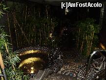 [P132] relaxare in mijlocul...junglei! » foto by geni
 - 
<span class="allrVoted glyphicon glyphicon-heart hidden" id="av228495"></span>
<a class="m-l-10 hidden" id="sv228495" onclick="voting_Foto_DelVot(,228495,622)" role="button">șterge vot <span class="glyphicon glyphicon-remove"></span></a>
<a id="v9228495" class=" c-red"  onclick="voting_Foto_SetVot(228495)" role="button"><span class="glyphicon glyphicon-heart-empty"></span> <b>LIKE</b> = Votează poza</a> <img class="hidden"  id="f228495W9" src="/imagini/loader.gif" border="0" /><span class="AjErrMes hidden" id="e228495ErM"></span>