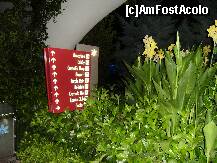 [P30] era destul de greu sa te ratacesti...peste tot primeam indicatii » foto by geni
 - 
<span class="allrVoted glyphicon glyphicon-heart hidden" id="av228343"></span>
<a class="m-l-10 hidden" id="sv228343" onclick="voting_Foto_DelVot(,228343,622)" role="button">șterge vot <span class="glyphicon glyphicon-remove"></span></a>
<a id="v9228343" class=" c-red"  onclick="voting_Foto_SetVot(228343)" role="button"><span class="glyphicon glyphicon-heart-empty"></span> <b>LIKE</b> = Votează poza</a> <img class="hidden"  id="f228343W9" src="/imagini/loader.gif" border="0" /><span class="AjErrMes hidden" id="e228343ErM"></span>