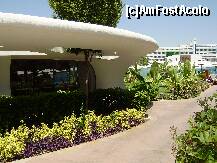 [P67] restaurantul Sumach cu grill kebab » foto by geni
 - 
<span class="allrVoted glyphicon glyphicon-heart hidden" id="av228409"></span>
<a class="m-l-10 hidden" id="sv228409" onclick="voting_Foto_DelVot(,228409,622)" role="button">șterge vot <span class="glyphicon glyphicon-remove"></span></a>
<a id="v9228409" class=" c-red"  onclick="voting_Foto_SetVot(228409)" role="button"><span class="glyphicon glyphicon-heart-empty"></span> <b>LIKE</b> = Votează poza</a> <img class="hidden"  id="f228409W9" src="/imagini/loader.gif" border="0" /><span class="AjErrMes hidden" id="e228409ErM"></span>