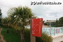 [P20] Inspre plaja » foto by santana*
 - 
<span class="allrVoted glyphicon glyphicon-heart hidden" id="av295080"></span>
<a class="m-l-10 hidden" id="sv295080" onclick="voting_Foto_DelVot(,295080,622)" role="button">șterge vot <span class="glyphicon glyphicon-remove"></span></a>
<a id="v9295080" class=" c-red"  onclick="voting_Foto_SetVot(295080)" role="button"><span class="glyphicon glyphicon-heart-empty"></span> <b>LIKE</b> = Votează poza</a> <img class="hidden"  id="f295080W9" src="/imagini/loader.gif" border="0" /><span class="AjErrMes hidden" id="e295080ErM"></span>