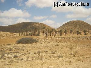 [P13]  -- <small>// FĂRĂ DESCRIERE</small> » foto by feliciarosca
 - 
<span class="allrVoted glyphicon glyphicon-heart hidden" id="av361040"></span>
<a class="m-l-10 hidden" id="sv361040" onclick="voting_Foto_DelVot(,361040,658)" role="button">șterge vot <span class="glyphicon glyphicon-remove"></span></a>
<a id="v9361040" class=" c-red"  onclick="voting_Foto_SetVot(361040)" role="button"><span class="glyphicon glyphicon-heart-empty"></span> <b>LIKE</b> = Votează poza</a> <img class="hidden"  id="f361040W9" src="/imagini/loader.gif" border="0" /><span class="AjErrMes hidden" id="e361040ErM"></span>