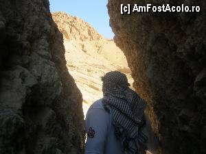 [P62]  -- <small>// FĂRĂ DESCRIERE</small> » foto by feliciarosca
 - 
<span class="allrVoted glyphicon glyphicon-heart hidden" id="av361089"></span>
<a class="m-l-10 hidden" id="sv361089" onclick="voting_Foto_DelVot(,361089,658)" role="button">șterge vot <span class="glyphicon glyphicon-remove"></span></a>
<a id="v9361089" class=" c-red"  onclick="voting_Foto_SetVot(361089)" role="button"><span class="glyphicon glyphicon-heart-empty"></span> <b>LIKE</b> = Votează poza</a> <img class="hidden"  id="f361089W9" src="/imagini/loader.gif" border="0" /><span class="AjErrMes hidden" id="e361089ErM"></span>