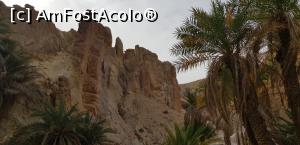 [P16] Cu jeepul prin Sahara – oaza de munte Chebika » foto by nicole33
 - 
<span class="allrVoted glyphicon glyphicon-heart hidden" id="av1165836"></span>
<a class="m-l-10 hidden" id="sv1165836" onclick="voting_Foto_DelVot(,1165836,658)" role="button">șterge vot <span class="glyphicon glyphicon-remove"></span></a>
<a id="v91165836" class=" c-red"  onclick="voting_Foto_SetVot(1165836)" role="button"><span class="glyphicon glyphicon-heart-empty"></span> <b>LIKE</b> = Votează poza</a> <img class="hidden"  id="f1165836W9" src="/imagini/loader.gif" border="0" /><span class="AjErrMes hidden" id="e1165836ErM"></span>