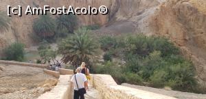 [P44] Cu jeepul prin Sahara – oaza de munte Chebika » foto by nicole33
 - 
<span class="allrVoted glyphicon glyphicon-heart hidden" id="av1165864"></span>
<a class="m-l-10 hidden" id="sv1165864" onclick="voting_Foto_DelVot(,1165864,658)" role="button">șterge vot <span class="glyphicon glyphicon-remove"></span></a>
<a id="v91165864" class=" c-red"  onclick="voting_Foto_SetVot(1165864)" role="button"><span class="glyphicon glyphicon-heart-empty"></span> <b>LIKE</b> = Votează poza</a> <img class="hidden"  id="f1165864W9" src="/imagini/loader.gif" border="0" /><span class="AjErrMes hidden" id="e1165864ErM"></span>