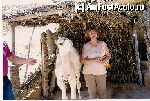 [P03] impreuna cu camila, prietena mea in gospodaria trogloditilor » foto by amero
 - 
<span class="allrVoted glyphicon glyphicon-heart hidden" id="av294496"></span>
<a class="m-l-10 hidden" id="sv294496" onclick="voting_Foto_DelVot(,294496,658)" role="button">șterge vot <span class="glyphicon glyphicon-remove"></span></a>
<a id="v9294496" class=" c-red"  onclick="voting_Foto_SetVot(294496)" role="button"><span class="glyphicon glyphicon-heart-empty"></span> <b>LIKE</b> = Votează poza</a> <img class="hidden"  id="f294496W9" src="/imagini/loader.gif" border="0" /><span class="AjErrMes hidden" id="e294496ErM"></span>