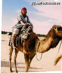 [P04] plimbarea pe camila » foto by amero
 - 
<span class="allrVoted glyphicon glyphicon-heart hidden" id="av294498"></span>
<a class="m-l-10 hidden" id="sv294498" onclick="voting_Foto_DelVot(,294498,658)" role="button">șterge vot <span class="glyphicon glyphicon-remove"></span></a>
<a id="v9294498" class=" c-red"  onclick="voting_Foto_SetVot(294498)" role="button"><span class="glyphicon glyphicon-heart-empty"></span> <b>LIKE</b> = Votează poza</a> <img class="hidden"  id="f294498W9" src="/imagini/loader.gif" border="0" /><span class="AjErrMes hidden" id="e294498ErM"></span>