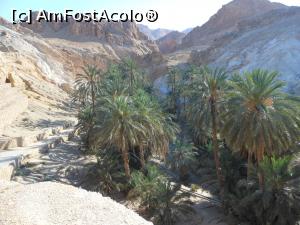 [P31] Chebika - Oaza de munte.  » foto by iulianic
 - 
<span class="allrVoted glyphicon glyphicon-heart hidden" id="av1078171"></span>
<a class="m-l-10 hidden" id="sv1078171" onclick="voting_Foto_DelVot(,1078171,658)" role="button">șterge vot <span class="glyphicon glyphicon-remove"></span></a>
<a id="v91078171" class=" c-red"  onclick="voting_Foto_SetVot(1078171)" role="button"><span class="glyphicon glyphicon-heart-empty"></span> <b>LIKE</b> = Votează poza</a> <img class="hidden"  id="f1078171W9" src="/imagini/loader.gif" border="0" /><span class="AjErrMes hidden" id="e1078171ErM"></span>