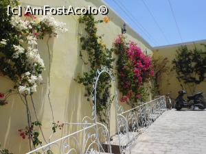 [P52] Métlaoui - Restaurant du Jardin. Grădina.  » foto by iulianic
 - 
<span class="allrVoted glyphicon glyphicon-heart hidden" id="av1078192"></span>
<a class="m-l-10 hidden" id="sv1078192" onclick="voting_Foto_DelVot(,1078192,658)" role="button">șterge vot <span class="glyphicon glyphicon-remove"></span></a>
<a id="v91078192" class=" c-red"  onclick="voting_Foto_SetVot(1078192)" role="button"><span class="glyphicon glyphicon-heart-empty"></span> <b>LIKE</b> = Votează poza</a> <img class="hidden"  id="f1078192W9" src="/imagini/loader.gif" border="0" /><span class="AjErrMes hidden" id="e1078192ErM"></span>