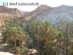 [P07] Chebika - Înainte de a ne afunda în canion.  » foto by iulianic
 - 
<span class="allrVoted glyphicon glyphicon-heart hidden" id="av1078139"></span>
<a class="m-l-10 hidden" id="sv1078139" onclick="voting_Foto_DelVot(,1078139,658)" role="button">șterge vot <span class="glyphicon glyphicon-remove"></span></a>
<a id="v91078139" class=" c-red"  onclick="voting_Foto_SetVot(1078139)" role="button"><span class="glyphicon glyphicon-heart-empty"></span> <b>LIKE</b> = Votează poza</a> <img class="hidden"  id="f1078139W9" src="/imagini/loader.gif" border="0" /><span class="AjErrMes hidden" id="e1078139ErM"></span>