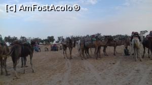 [P12] Dromaderii pregatiti pentru turisti » foto by fan bulgaria
 - 
<span class="allrVoted glyphicon glyphicon-heart hidden" id="av1006539"></span>
<a class="m-l-10 hidden" id="sv1006539" onclick="voting_Foto_DelVot(,1006539,658)" role="button">șterge vot <span class="glyphicon glyphicon-remove"></span></a>
<a id="v91006539" class=" c-red"  onclick="voting_Foto_SetVot(1006539)" role="button"><span class="glyphicon glyphicon-heart-empty"></span> <b>LIKE</b> = Votează poza</a> <img class="hidden"  id="f1006539W9" src="/imagini/loader.gif" border="0" /><span class="AjErrMes hidden" id="e1006539ErM"></span>